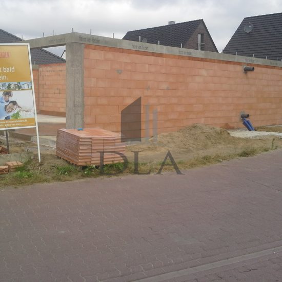 Проект Brüggen